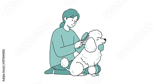 Woman brushing white poodle dog on floor illustration