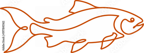 Fish Line Drawing Illustration.