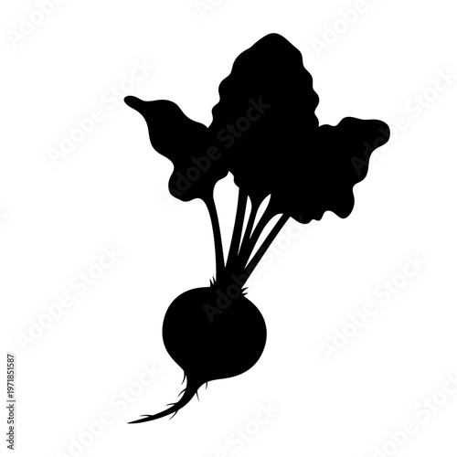 Beetroot Silhouette: A minimalist monochrome silhouette of a fresh beetroot, displaying the root vegetable with its leafy greens, highlighting nature's simplicity.