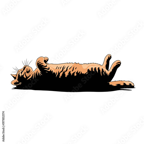 Playful Cat on Back: A delightful illustration captures a playful orange tabby cat lying contentedly on its back, inviting cuddles with its paws in the air. This illustration exudes joy and charm.