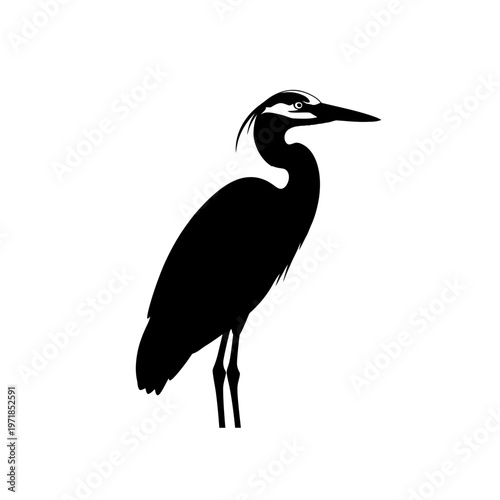 Heron Silhouette: A sleek heron in a bold, artistic black and white silhouette, exuding an air of elegance and simplicity, with its long beak and poised posture.