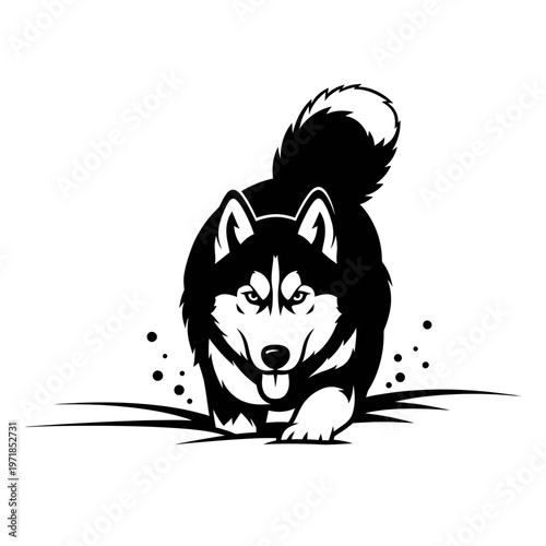 Husky Silhouette: A bold monochrome image of a majestic husky dog, exuding strength and vitality as it strides forward, embodying both power and loyalty.