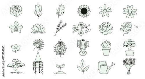 Floral and botanical silhouettes set on black background