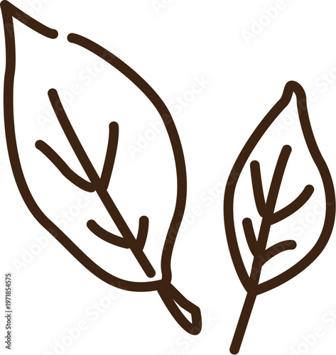 茶葉　生　線画