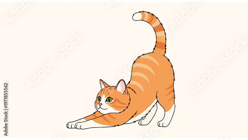 Orange cat stretching on floor 1.