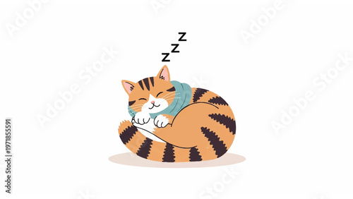 Sleeping Orange Tabby Cat Curled Up.