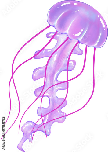 Illustration of a translucent purple Jellyfish with pink tentacles