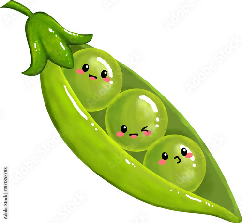 Cute cartoon illustration of three green peas in a pod with kawaii faces