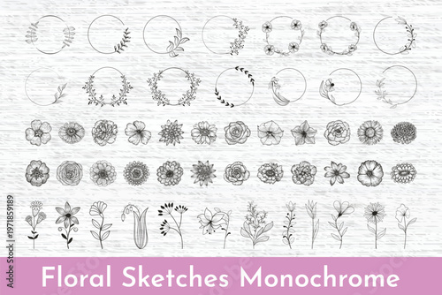 Intricate botanical illustrations of various flowers and foliage patterns in monochrome