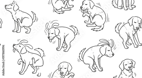 Dog Scratching and Shaking: A Collection of Playful Canine Poses