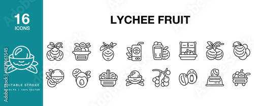 Lychee Fruit icon set. Includes lychee, fruit, tropical, red, fresh and More. Editable Stroke Icon Collection.