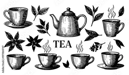 Engraved Tea Illustration Set Vintage Teacup Teapot Vector