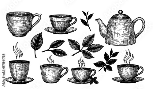 Engraved Tea Illustration Set Vintage Teacup Teapot Vector