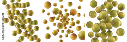 Photos Marula fruits flying composition isolated on white background, Sclerocarya birre