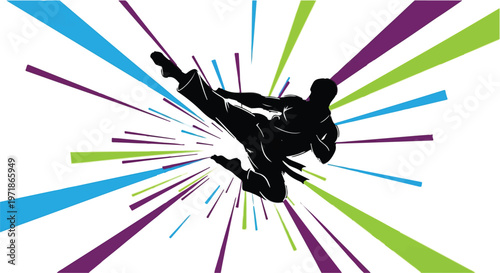A silhouetted martial artist performs a dynamic side kick surrounded by a vibrant explosion of colorful abstract rays.