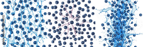 Bild auf Leinwand Blueberry burst effect flying composition isolated on white background, Vacciniu