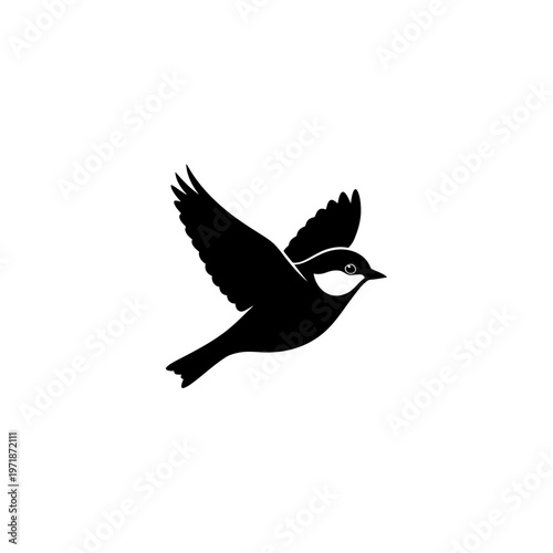 Soaring Silhouette: A graceful bird in flight, its silhouette against the sky, captures the essence of freedom and the beauty of nature. 