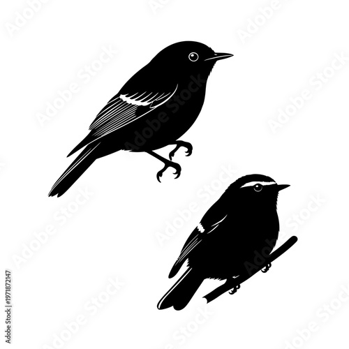 Silhouetted Bird Duo: Graceful avian silhouettes pose, showcasing the intricate design of nature's winged creatures. A testament to simplicity and the beauty found in nature's form.