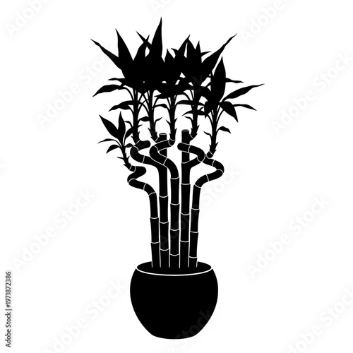 Lucky Bamboo Silhouette in a Pot: A captivating silhouette of a lush lucky bamboo plant, its spiraling stalks and vibrant green leaves create a striking contrast in a simple, elegant display.