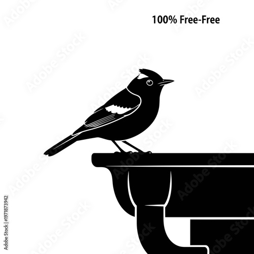 Serene Perch of a Black and White Bird: A solitary bird, with feathers of stark black and white, perched elegantly, gazing pensively. A tranquil scene of solitude and natural beauty.