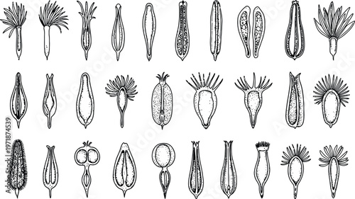 Vintage engraving of diverse antique keys a collection of ornate and historical lock mechanisms