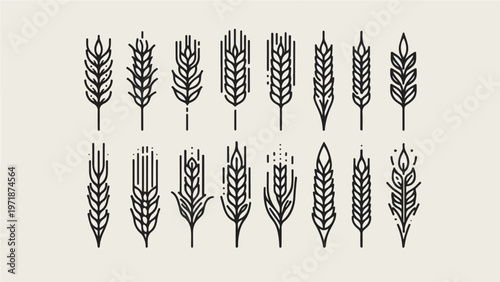 Monochrome wheat patterns: A collection of meticulously designed wheat icons, showcasing the intricate detail and beauty of natural forms, perfect for illustrating agriculture, harvest.