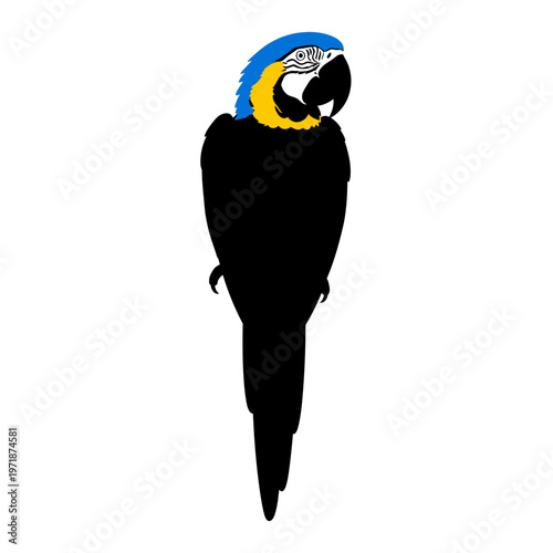 Exotic Parrot Silhouette: A striking silhouette of a vibrant parrot, capturing the essence of tropical allure and avian grace. 