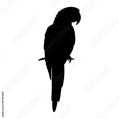 Silhouette Parrot: A captivating silhouette of a vibrant parrot perching gracefully on a branch, its form defined against a contrasting background.