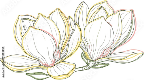 Delicate watercolor lotus flower illustration a blooming symbol of purity and spiritual awakening