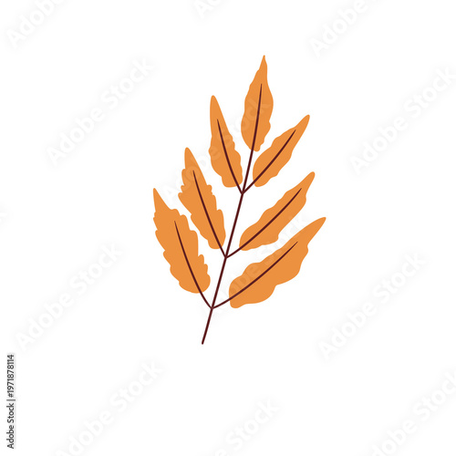 Thin Leaf Branch Illustration – Autumn Botanical Warm Foliage Decorative Element