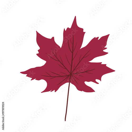 Red Maple Leaf Illustration – Autumn Fall Botanical Seasonal Leaf