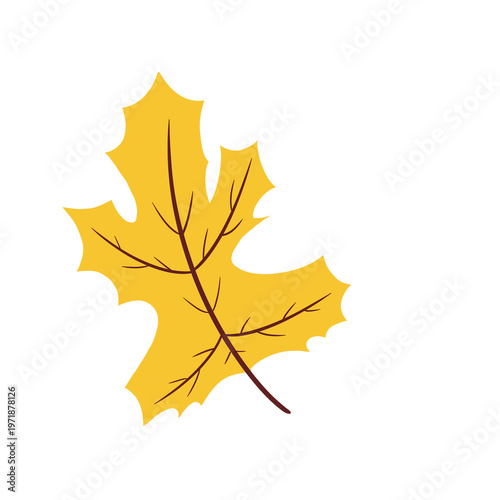 Yellow Maple Leaf Illustration – Autumn Fall Botanical Seasonal Leaf