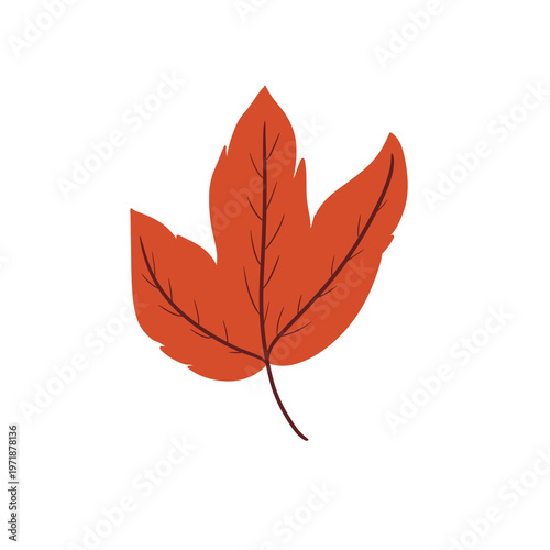 Autumn Leaf Illustration – Orange Botanical Fall Season Decorative Leaf