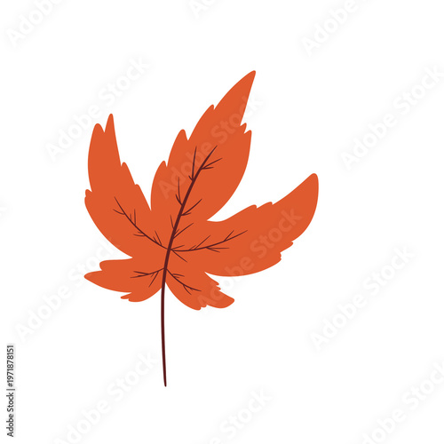 Maple Leaf Illustration – Red Orange Autumn Textured Fall Season Leaf