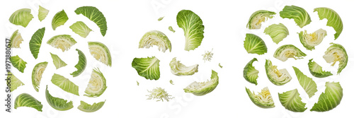 Photos Fresh Green Cabbage Leaves Set: Realistic Sliced and Chopped Cabbage Pieces Isol