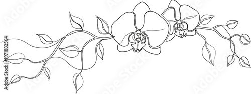 Delicate sketch of white orchids a botanical illustration with fine lines and artistic flair