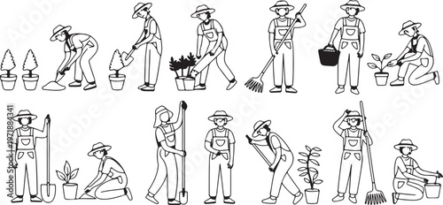 Harvesting produce and market preparation steps