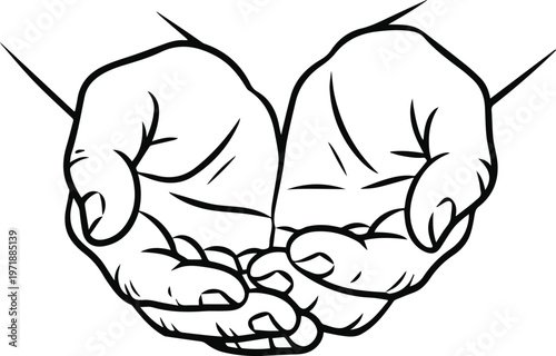 Hands holding a sapling in palms