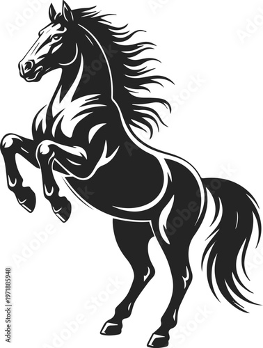 Horse anatomy study showing musculature and movement