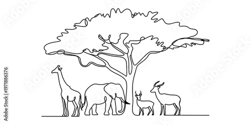 Photography A single continuous line drawing featuring a tall acacia tree and various africa
