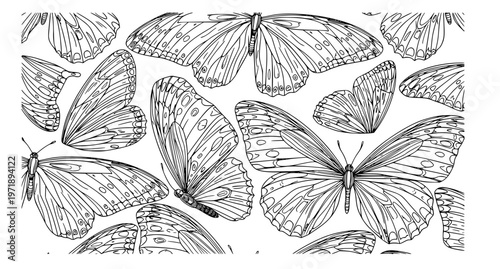Decorative butterfly wing pattern line art vector with repeating ornamental insect design on white background