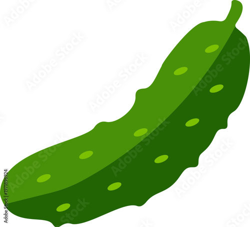 Cucumber