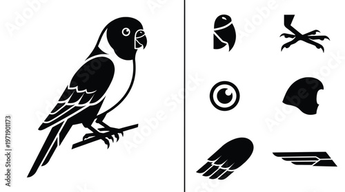 Parrot bird vector illustration set featuring parrot body perched on branch head with beak eye wing and tail icons