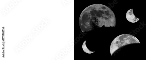 Konstfotografi Artistic Moon Phases Set with Tree Silhouette and Lunar Eclipse Isolated on Blac