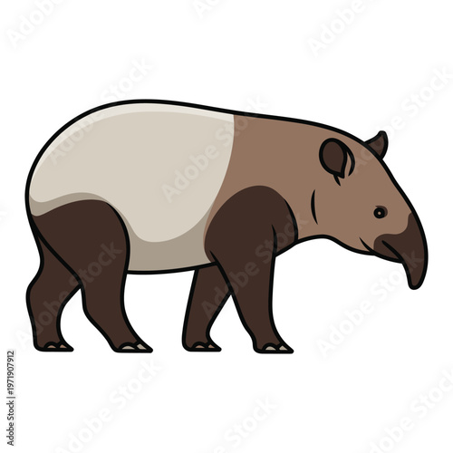 tapir