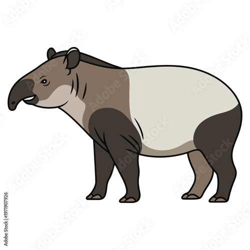 tapir