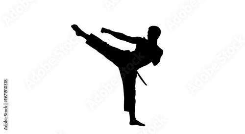 Karate athlete silhouette martial arts isolated on white background
