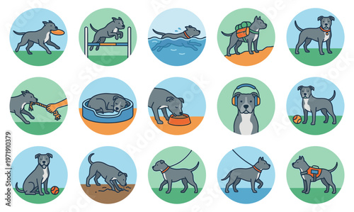 Pitbull dog daily activities and training flat color round icon set vector illustration featuring swimming jumping playing eating sleeping.