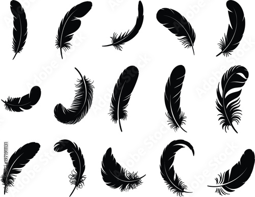 Bird feather silhouettes set with different shapes and curves, natural wing elements isolated vector design