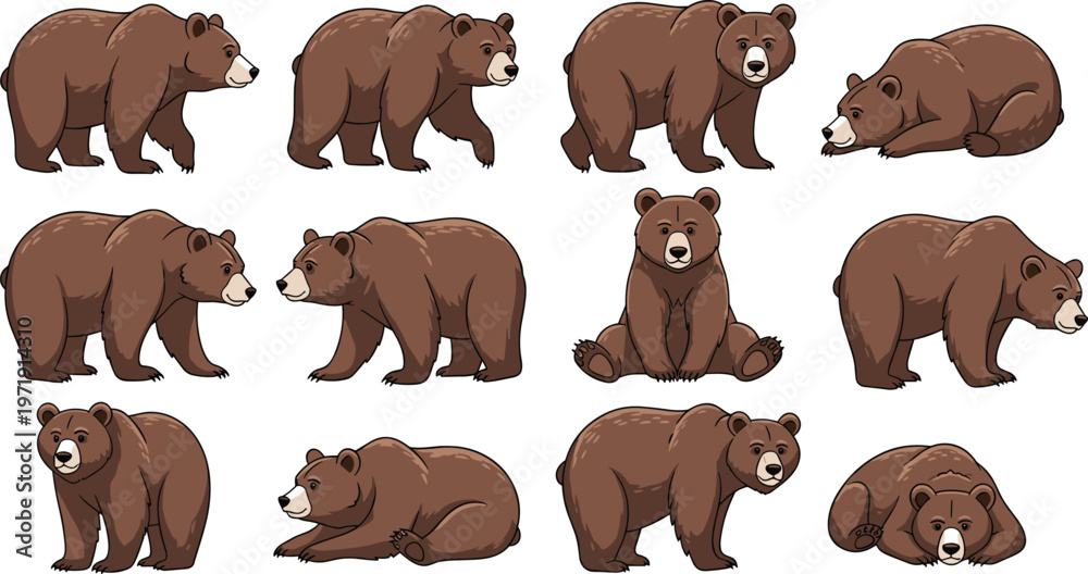 Fototapeta premium Brown Bear Pose Collection with Walking, Sitting, and Resting Wildlife Animals in Cartoon Style for Nature Illustration, Animal Design, and Forest Collection